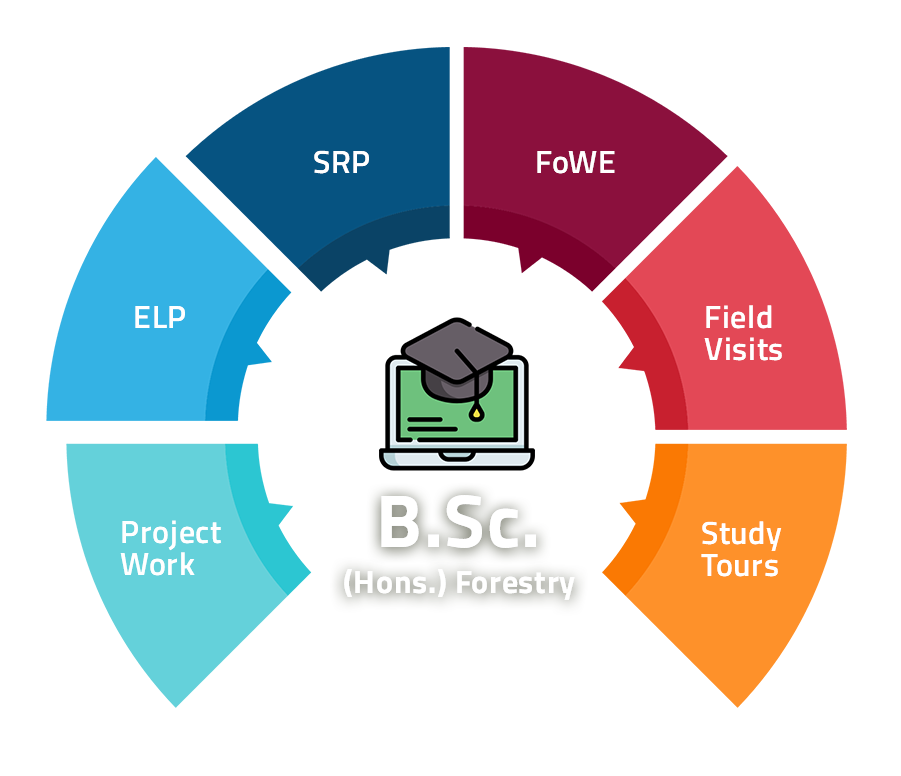 B.Sc. Forestry