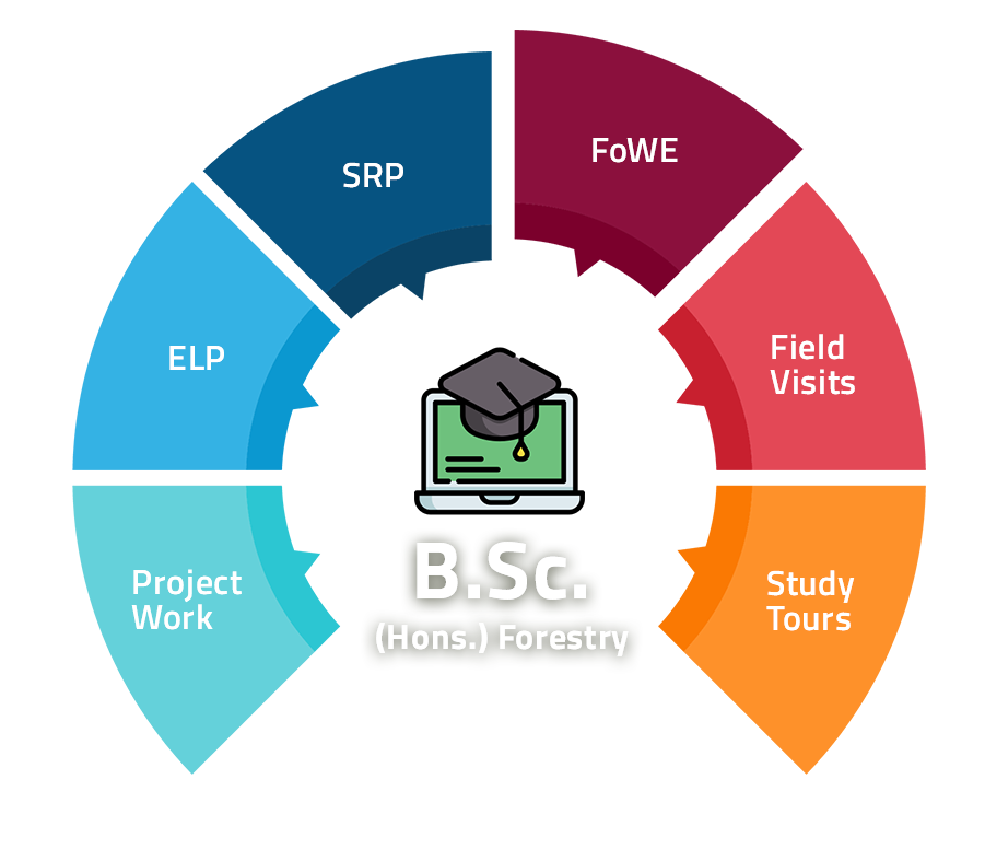 B.Sc. Forestry